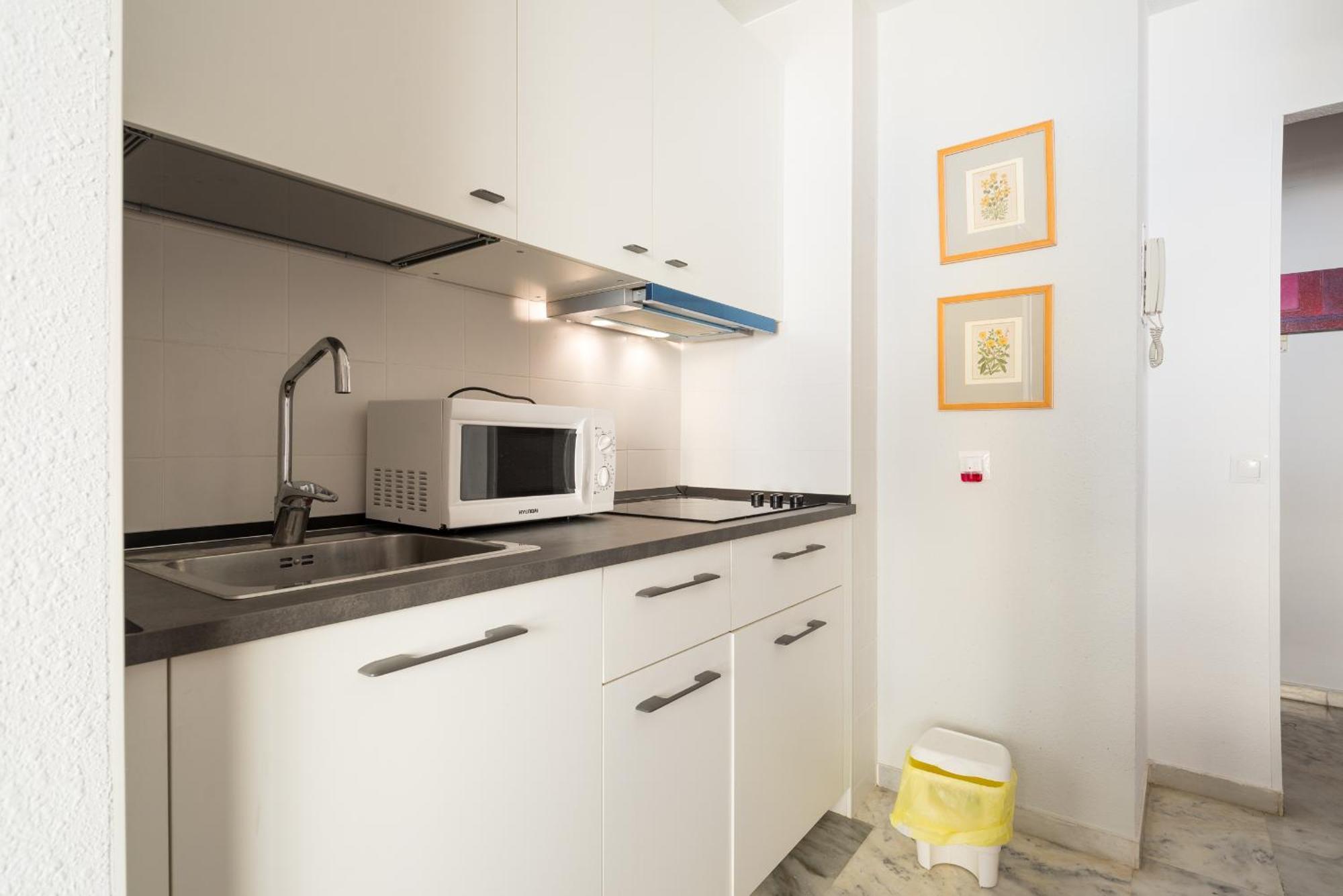 Malagueta Beach & Center Apartment